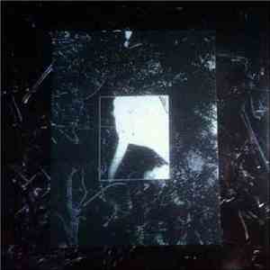 Liable - Delusion LP