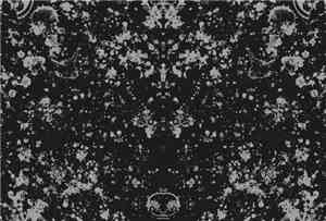 Why Who What / Harsh Noise Movement - Why Who What / Harsh Noise Movement
