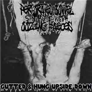 Perforated Bowel Syndrome With Oozing Faeces - Gutted and Hung Upside Down