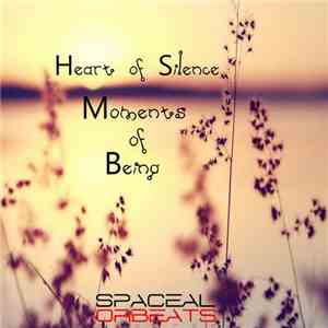 Heart Of Silence - Moments Of Being