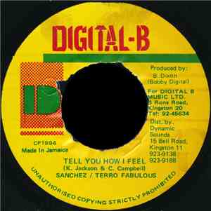 Sanchez / Terro Fabulous - Tell You How I Feel