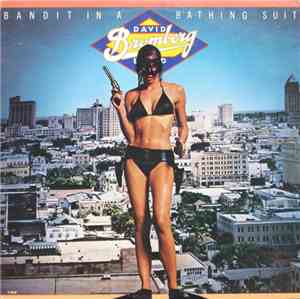 David Bromberg Band - Bandit In A Bathing Suit
