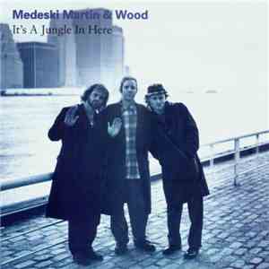 Medeski Martin & Wood - It's A Jungle In Here