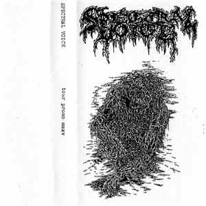Spectral Voice - Tour Promo MMXV