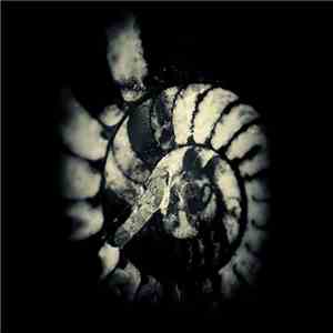 uncertain - Amniotic Fluid EP