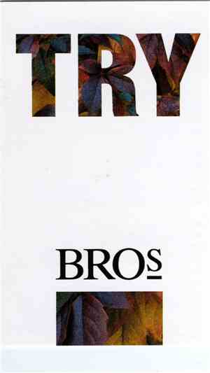 Bros - Try