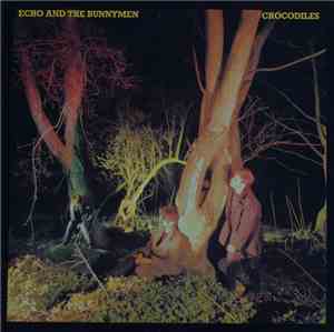 Echo & The Bunnymen - Crocodiles