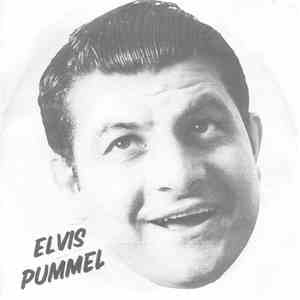 Elvis Pummel - Cat Jumps On The Table