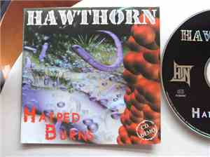 Hawthorn  - Hatred Burns