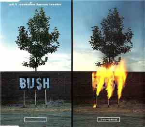 Bush - Swallowed