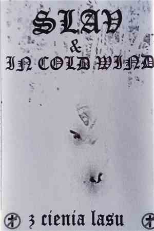 Slav , In Cold Wind - Z Cienia Lasu