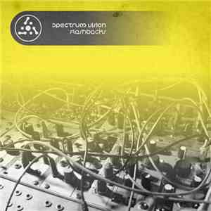 Spectrum Vision - Flashbacks