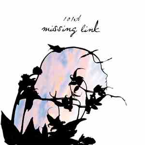 101A - missing link