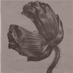 Pet Shop Boys - Release