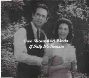 Two Wounded Birds - If Only We Remain