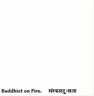 Buddhist On Fire - संस्कारदुःखता