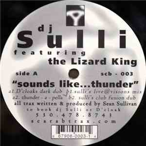 DJ Sulli - Sounds Like Thunder