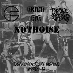 Foltergeist / China Pig  / Torture Border / Nothoise - Dominate Of Noise Pa ...