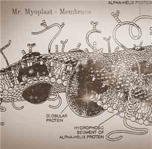 Mr. Myoplast - Membrane