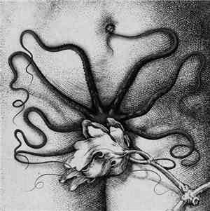 Biche, Organon  - Biche / Organon