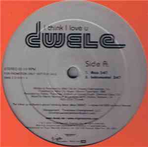 Dwele - I Think I Love U