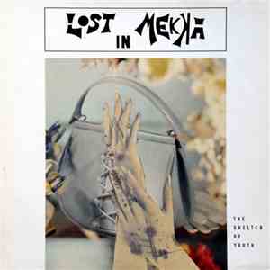 Lost In Mekka - The Shelter Of Youth