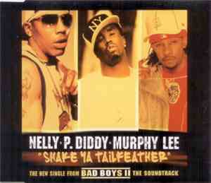 Nelly, P. Diddy & Murphy Lee - Shake Ya Tailfeather