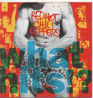 Red Hot Chili Peppers - What Hits!?