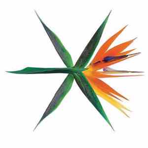 EXO - The War