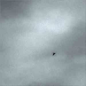 Pascal Savy - The Silent Watcher