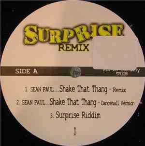 Sean Paul / Assassin - Surprise Remix