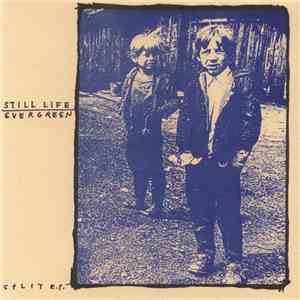 Still Life  / Evergreen  - Split E.P.