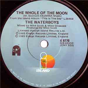 The Waterboys - The Whole Of The Moon