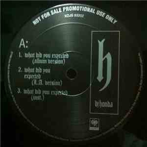 DJ Honda - What Did You Expected