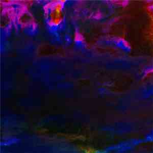 Efferat, Weston Adam - Every Mans Jack