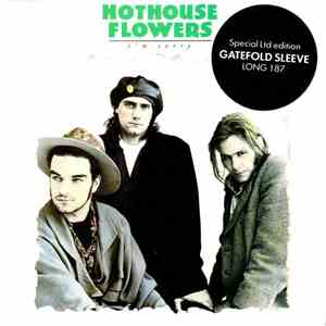 Hothouse Flowers - I'm Sorry