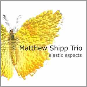 Matthew Shipp Trio - Elastic Aspects