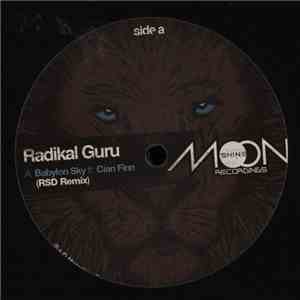 Radikal Guru - The Rootstepa Remixed