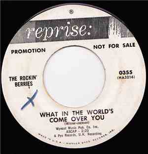 The Rockin' Berries - What In The World's Come Over You