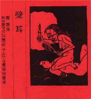 壁耳 - 壁耳
