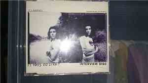 PJ Harvey - Is This Desire ? Interview Disc