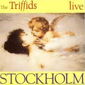 The Triffids - Stockholm - Live