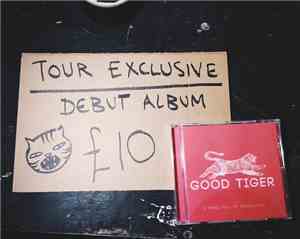 Good Tiger - A Head Full Of Moonlight