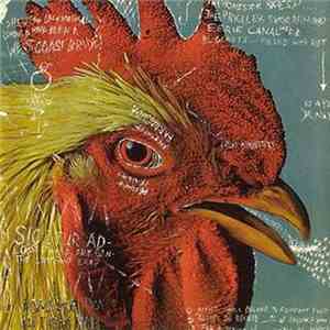 Pavement - Watery, Domestic