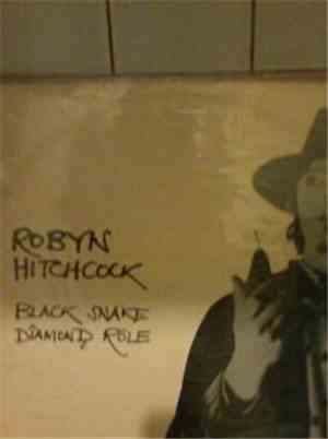 Robyn Hitchcock - Black Snake Diamond Röle