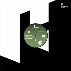 Highgrade Disharmonic Orchestra - Dizzy Horns
