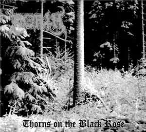 North  - Thorns On The Black Rose