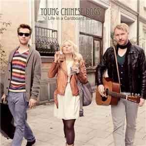 Young Chinese Dogs - Life in a Cardboard Box