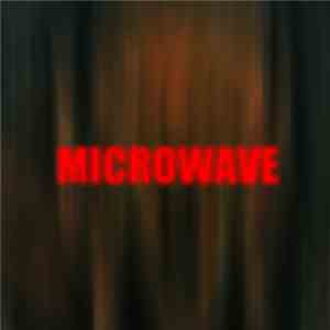 AC Project - Microwave