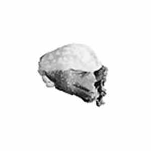 Brett Spivey - Anamorphosis Of Day